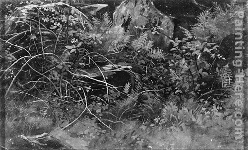 Nature Scene (Aquarium) painting - William Stanley Haseltine Nature Scene (Aquarium) art painting